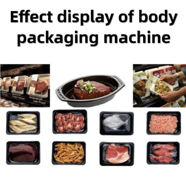 IY-750T Automatic Food Vacuum Packing Machine Cheese Sausage Steak Meat Beef Fish Skin Thermoforming Vacuum Packing Machine - Image 4