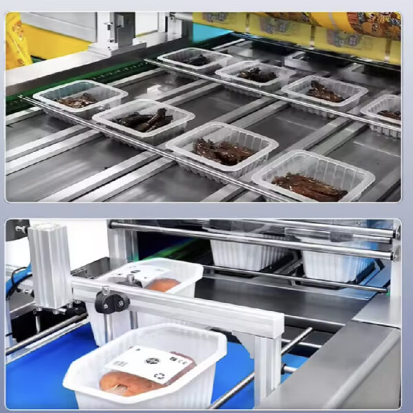 DQ630AT-VS Automatic Meat Tray Vacuum Sealing for Meat Vacuum Skin Food Tray Packaging Sealing Machine Full Automatic - Image 6